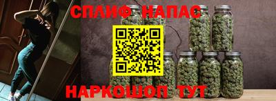 PSILOCYBIN Будённовск